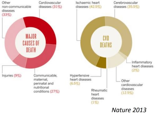 NTU研發(fā)革命性AI工具 基于先進理論與算法，賦能心電圖精準解讀